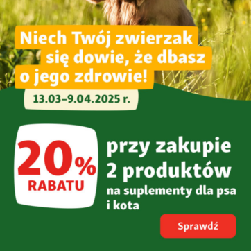 Jak przygotować czworonoga do wiosny?  Skuteczna ochrona przed kleszczami i pchłami