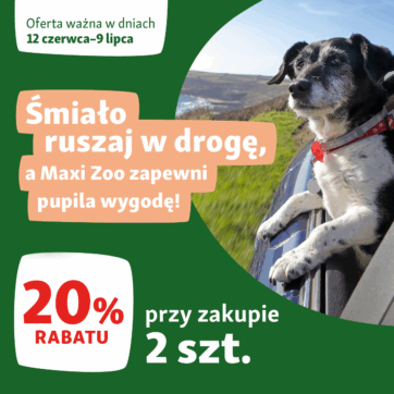 Wycieczki z psem? ð Żaden problem! ð