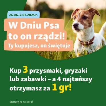 Opiekun? Kupuje! ð¸ Pies? Świętuje! ð¥³