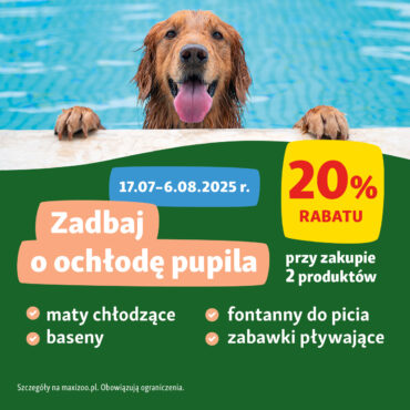 Pamiętaj o zwierzętach latem - wakacyjny niezbędnik pupila.