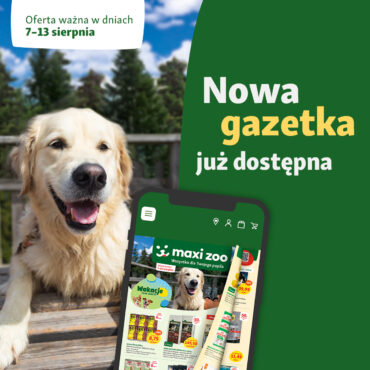 No i wylądowała! ð¤©Oto najnowsza gazetka z super rabatami! ð