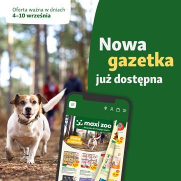 3…2…1… AKCJA!