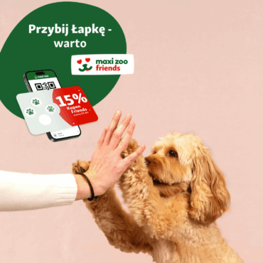 Zbieraj Łapki i odbieraj rabaty – nowość w Maxi Zoo