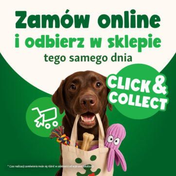 Już nie musisz polować na promocje. W Maxi Zoo obniżamy ceny na dobre*!