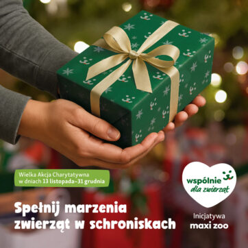 W naszych sklepach pojawiły się już choinki ð