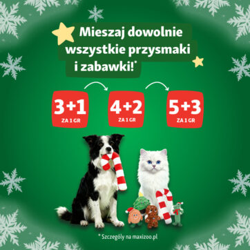 Pod choinką każdy powinien znaleźć coś wyjątkowego ð— także Twój pupil!
