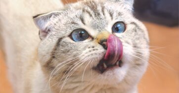 -50% na drugi produkt