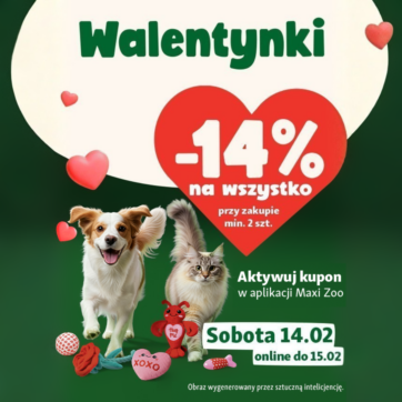 Miłość biega na czterech łapach. Dlaczego zabawa i wspólny czas są najlepszym prezentem dla pupila?